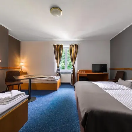 Hotel Carl Restaurant & Free Parking 4*